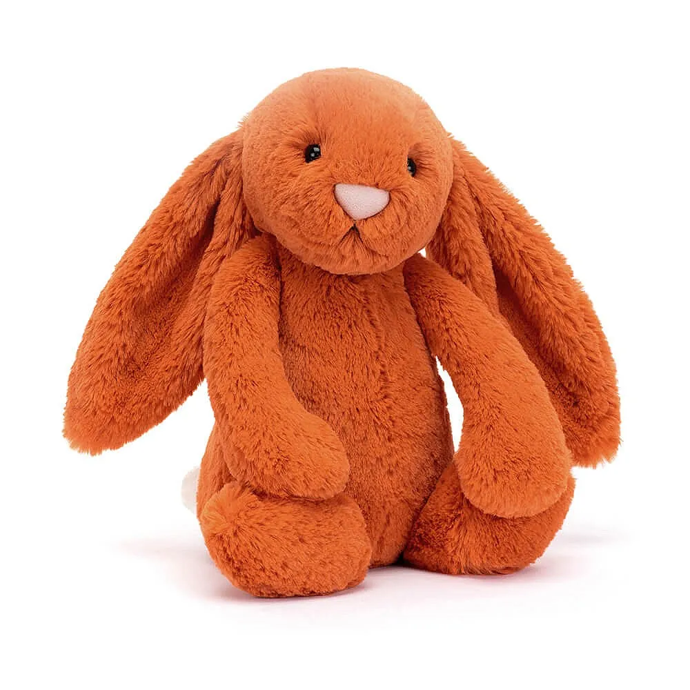 Bashful Tangerine Bunny