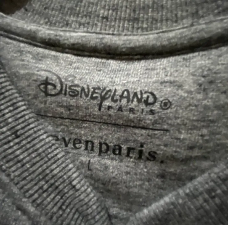 Disney  |Hoodies & Sweatshirts