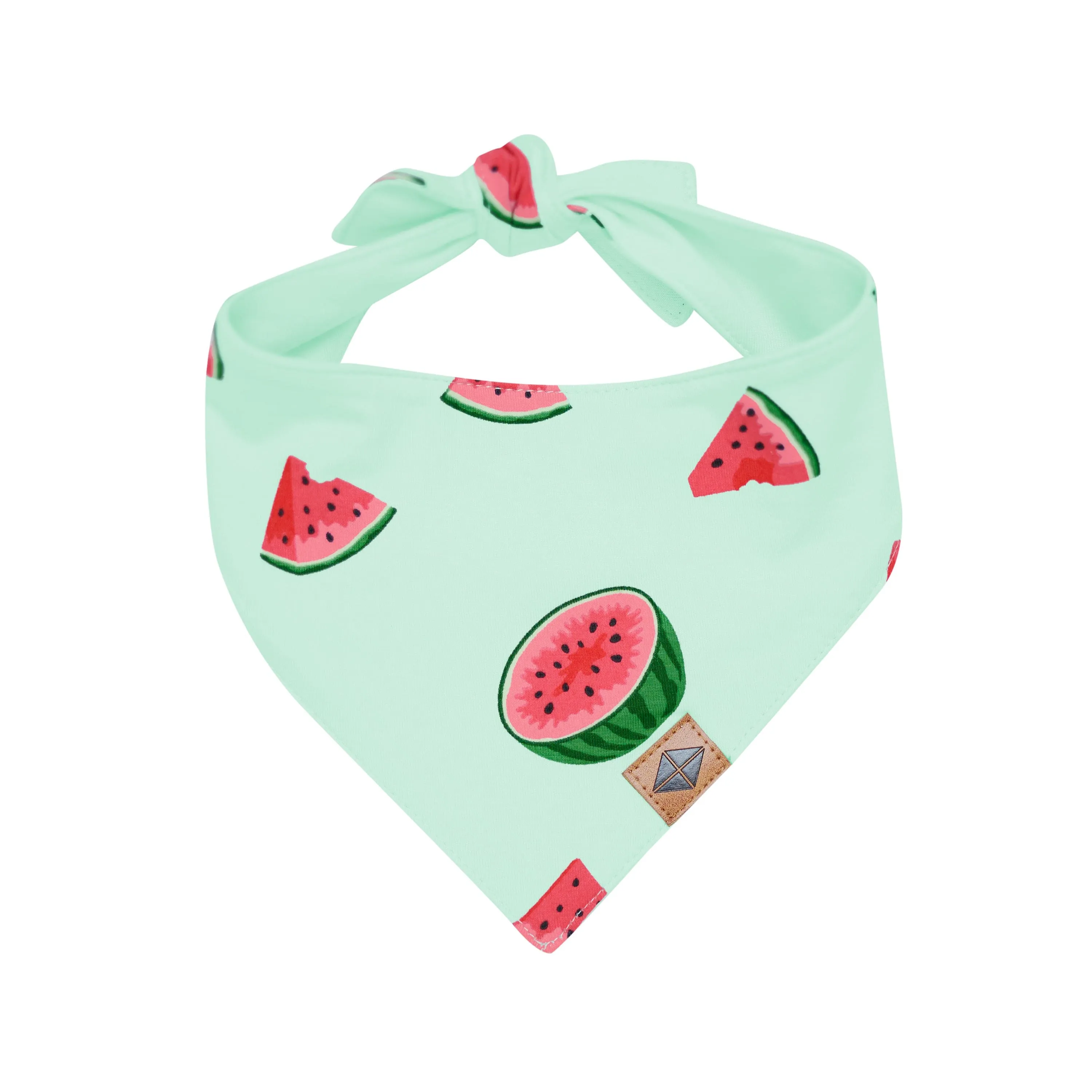 Dog Bandana in Watermelon