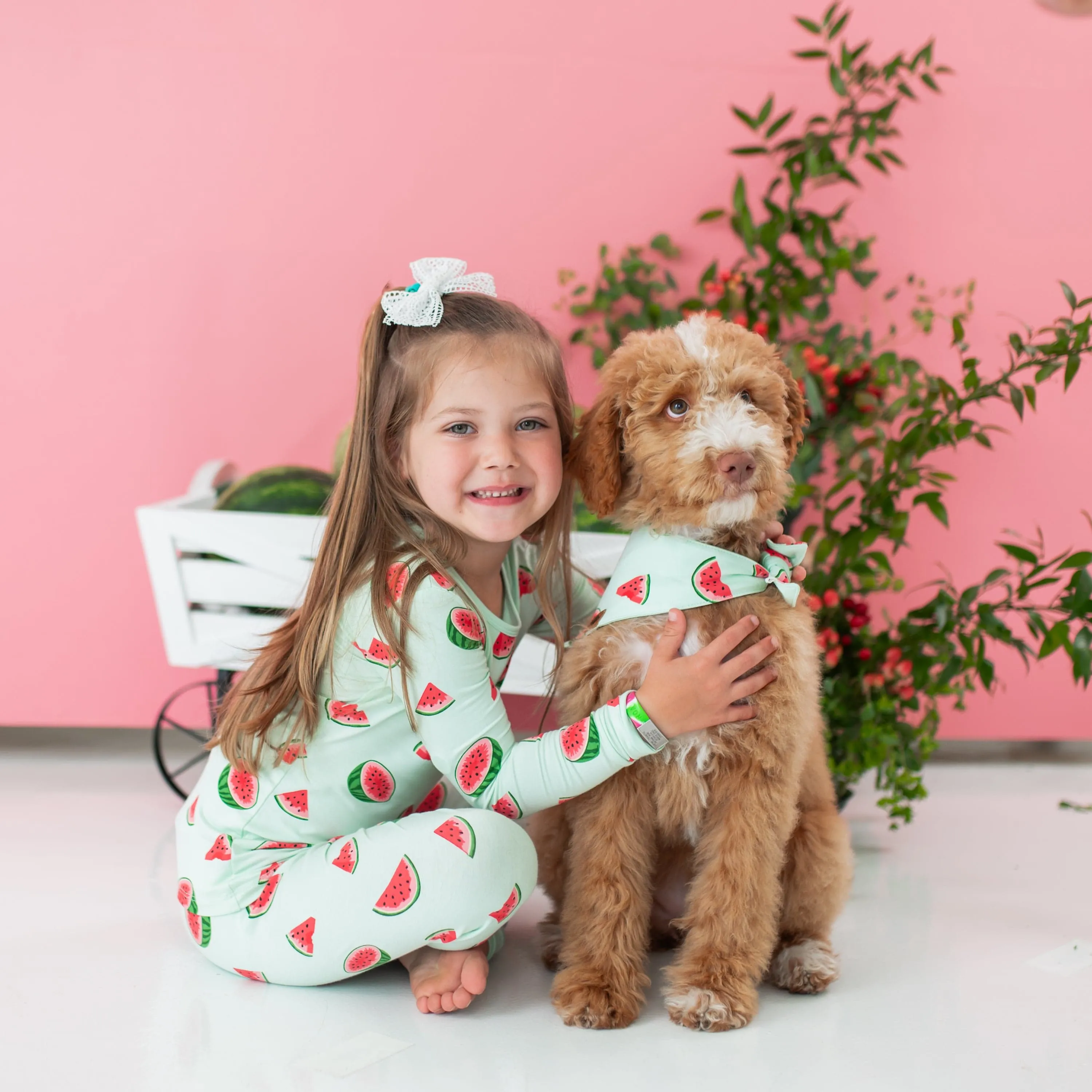 Dog Bandana in Watermelon