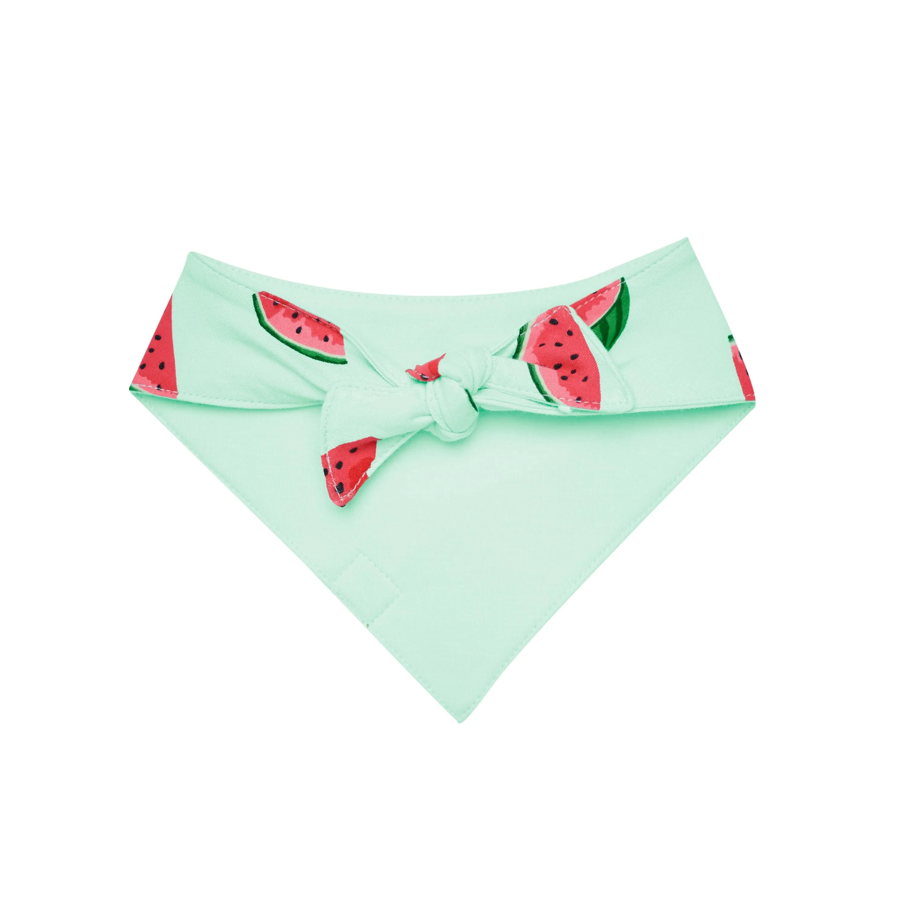 Dog Bandana in Watermelon